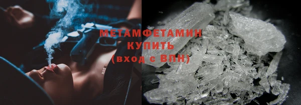 шишки Новозыбков