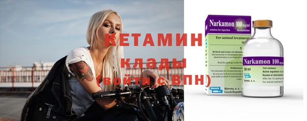 шишки Новозыбков