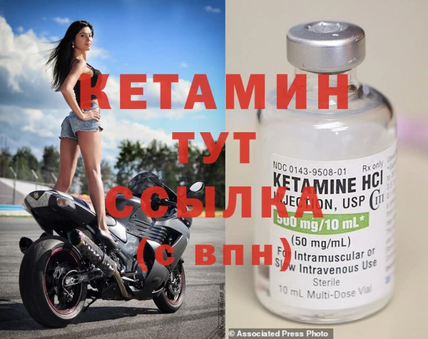 шишки Новозыбков