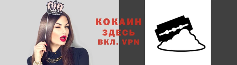 шишки Новозыбков