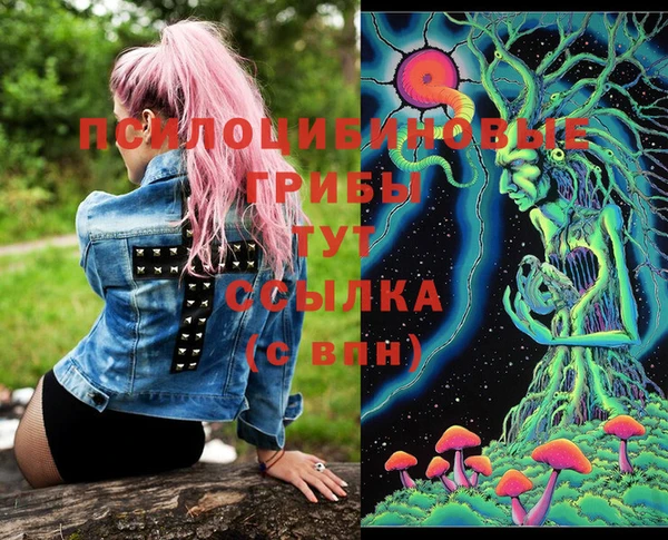 шишки Новозыбков