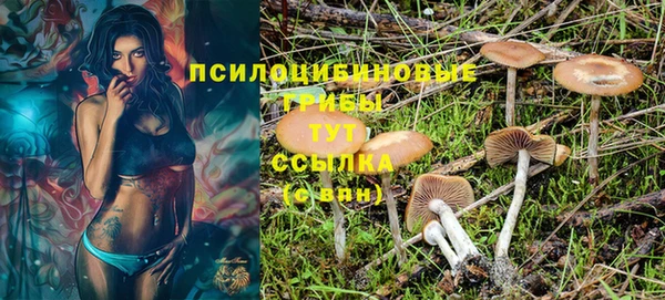 мяу мяу мука Новодвинск