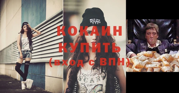 мяу мяу мука Новодвинск