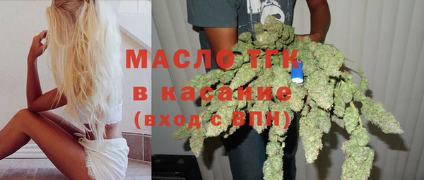 шишки Новозыбков