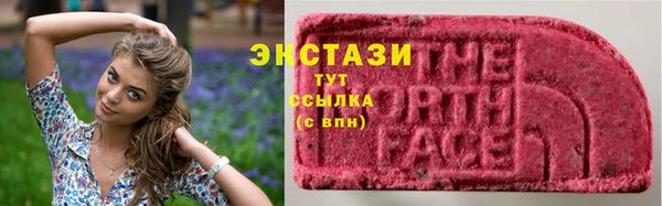 шишки Новозыбков