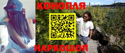 PSILOCYBIN Гатчина