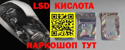 PSILOCYBIN Гатчина