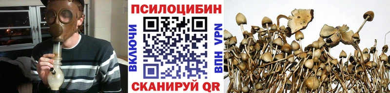 Псилоцибиновые грибы MAGIC MUSHROOMS  blacksprut как войти  Амурск 