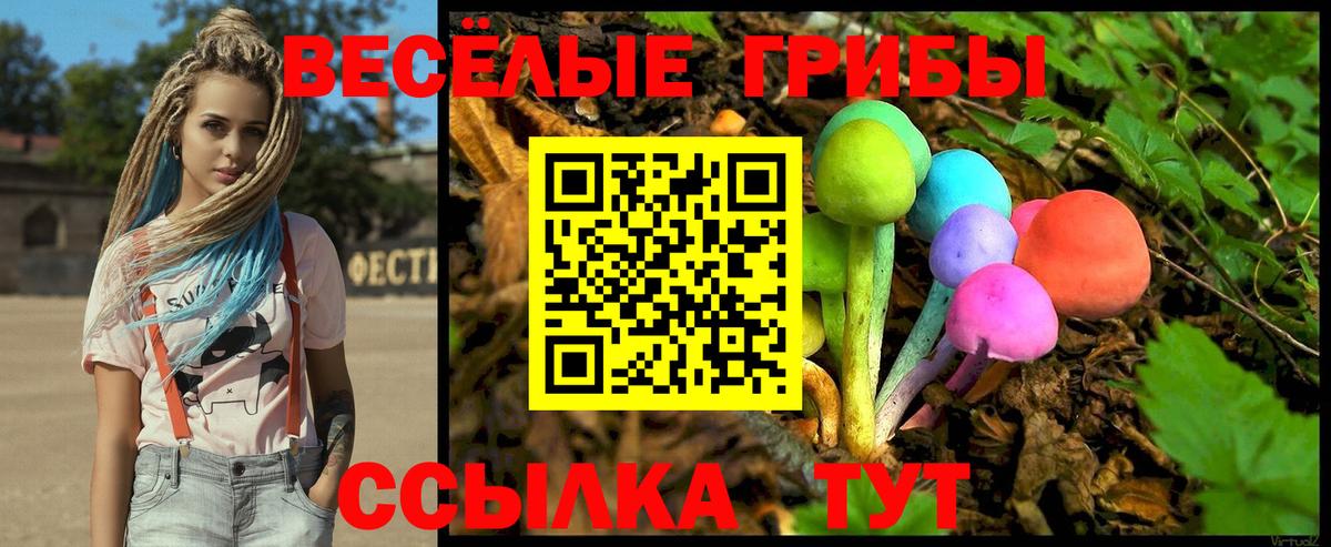 наркота  Галлюциногенные грибы Psilocybine cubensis  Амурск  Вход с VPN  Галлюциногенные грибы Psilocybine cubensis 
