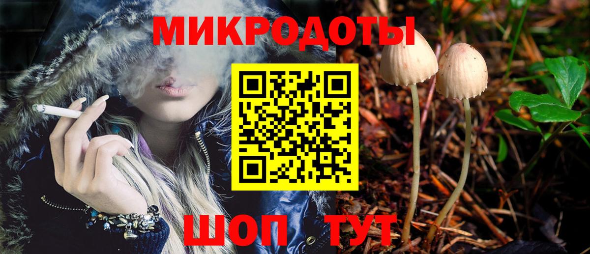 Псилоцибиновые грибы Psilocybe  Вход с VPN  Псилоцибиновые грибы прущие грибы  Амурск 